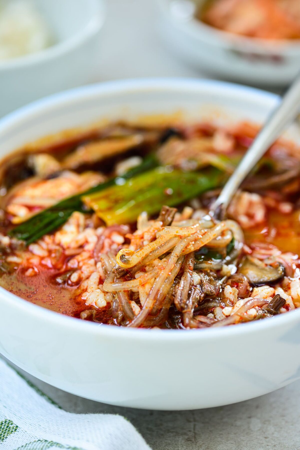 DSC4753 e1649036680963 - Yukgaejang (Spicy Beef Soup with Vegetables)