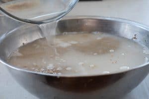 soaking barley malt