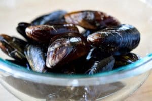 Mussels