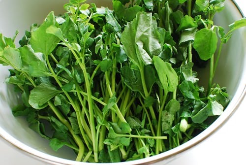 Watercress 2Bnamul 2B2 - Watercress Namul